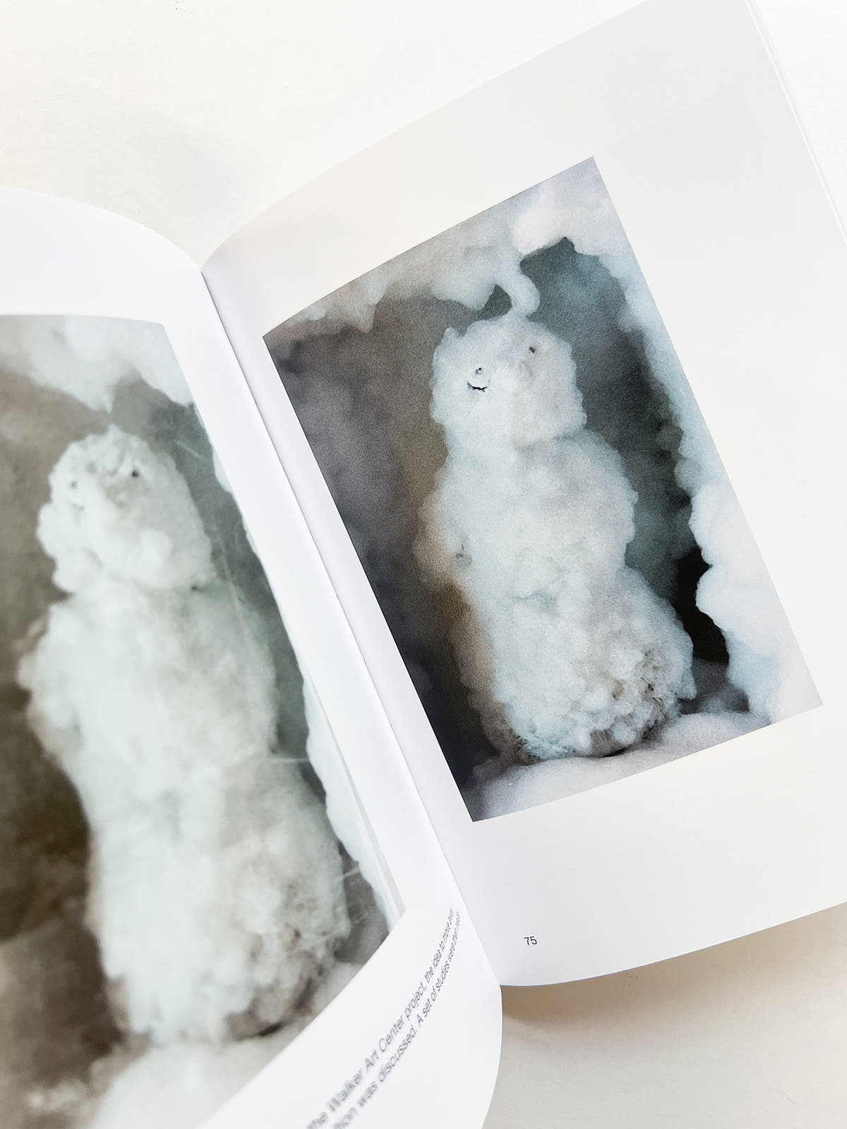 SNOWMAN / Peter Fischli & David Weiss
