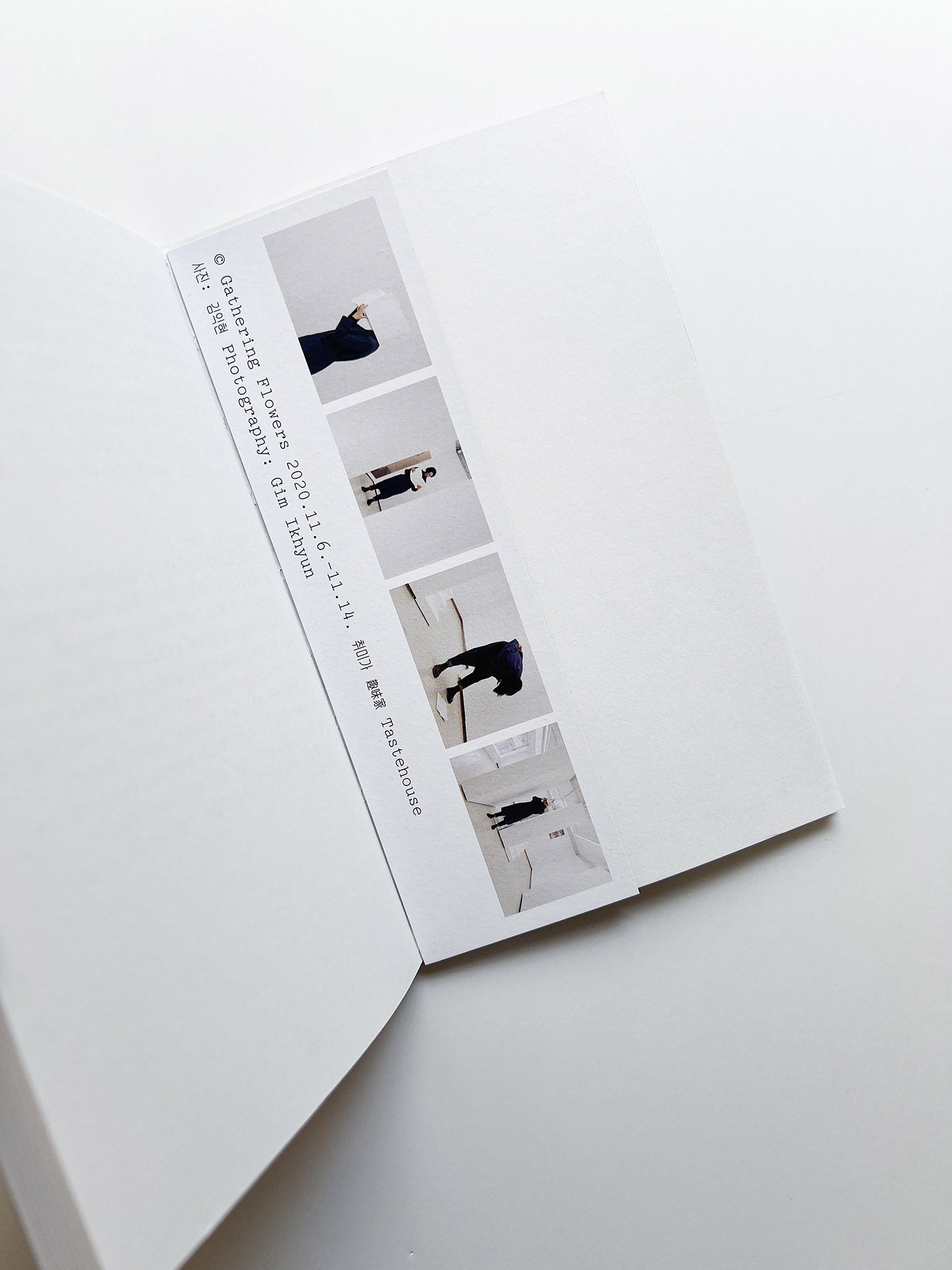 Gathering Flowers #1: 개별꽃