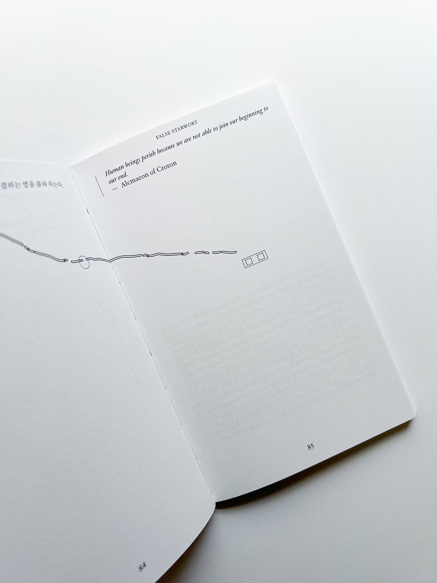 Gathering Flowers #1: 개별꽃