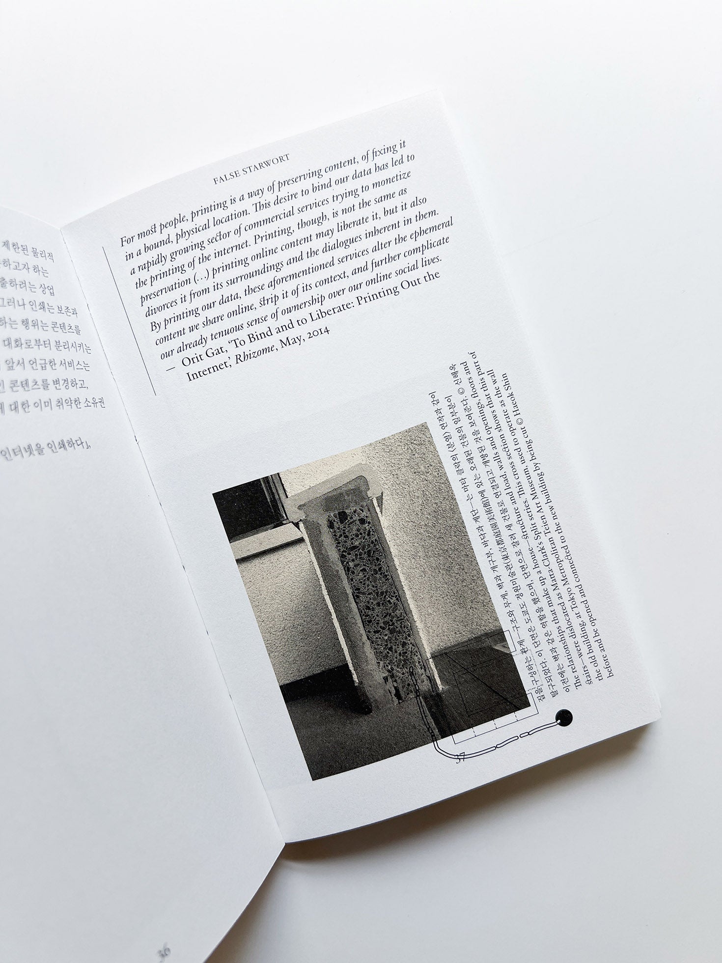 Gathering Flowers #1: 개별꽃