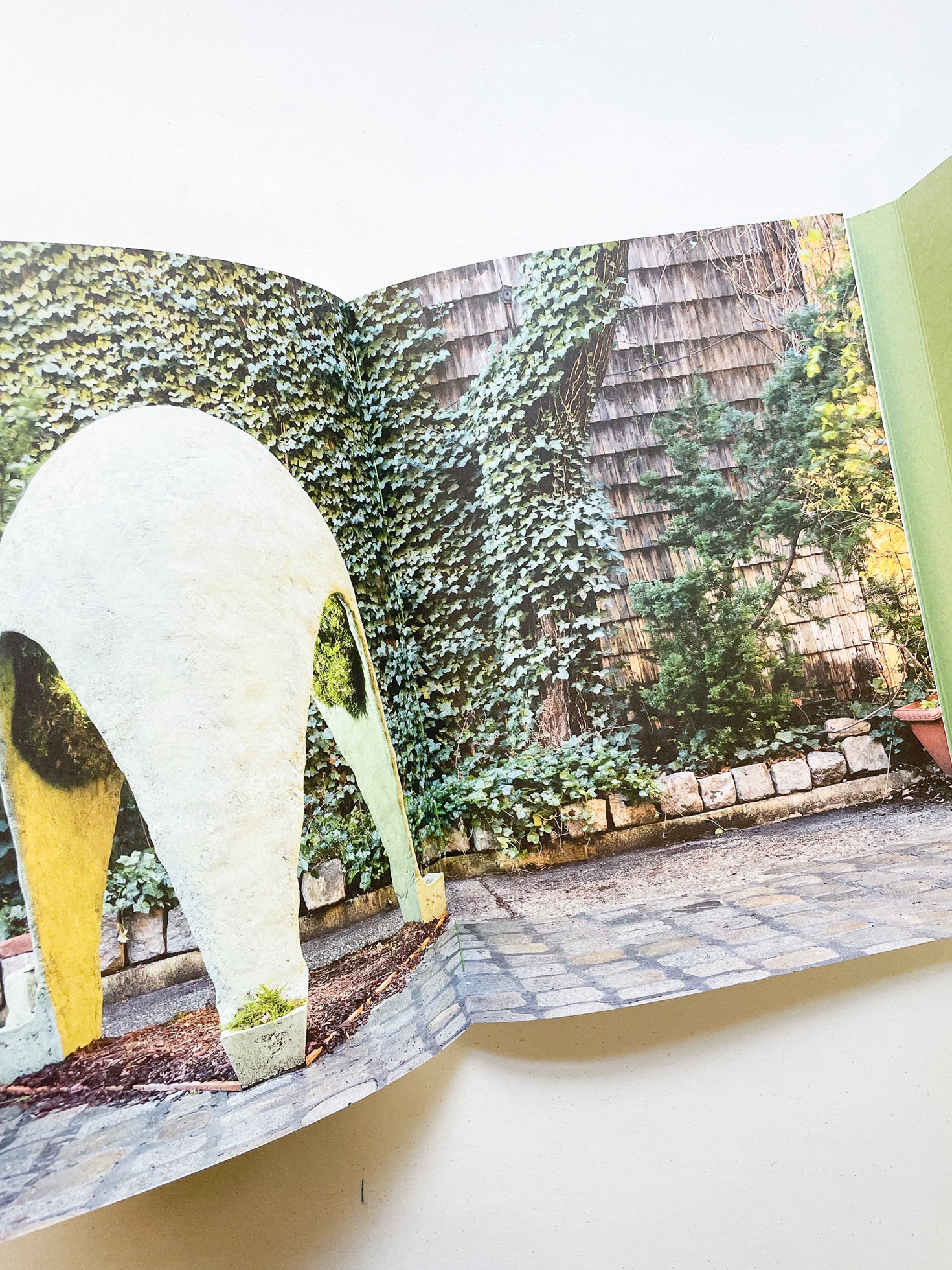 INTO THE WOODS / Sophie Haslinger