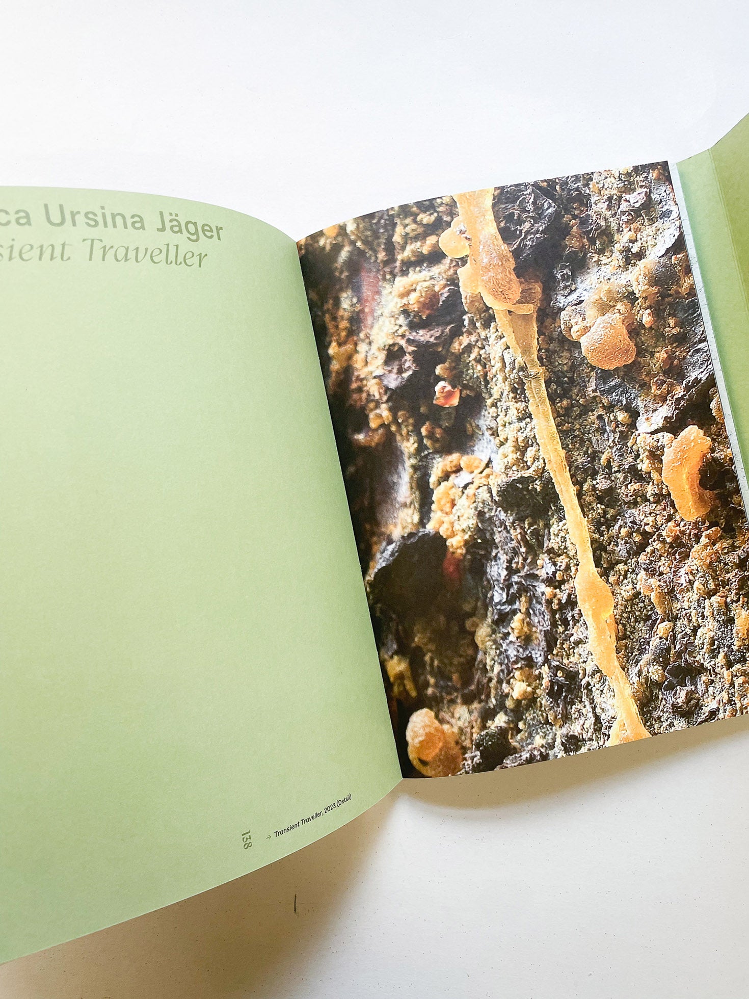 INTO THE WOODS / Sophie Haslinger