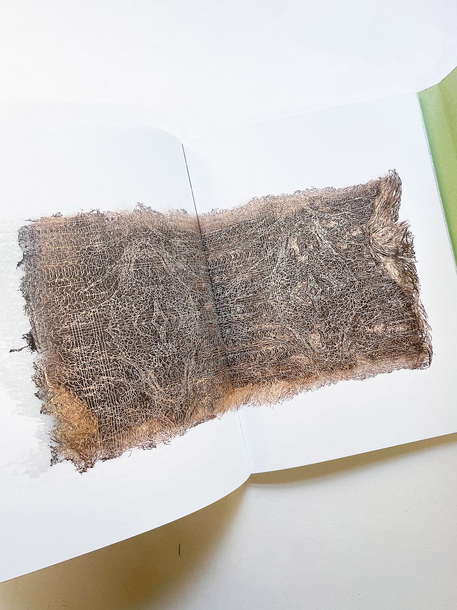 INTO THE WOODS / Sophie Haslinger