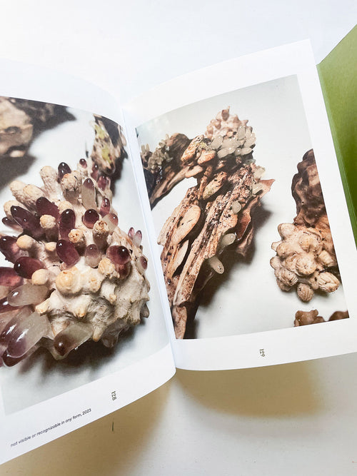 INTO THE WOODS / Sophie Haslinger