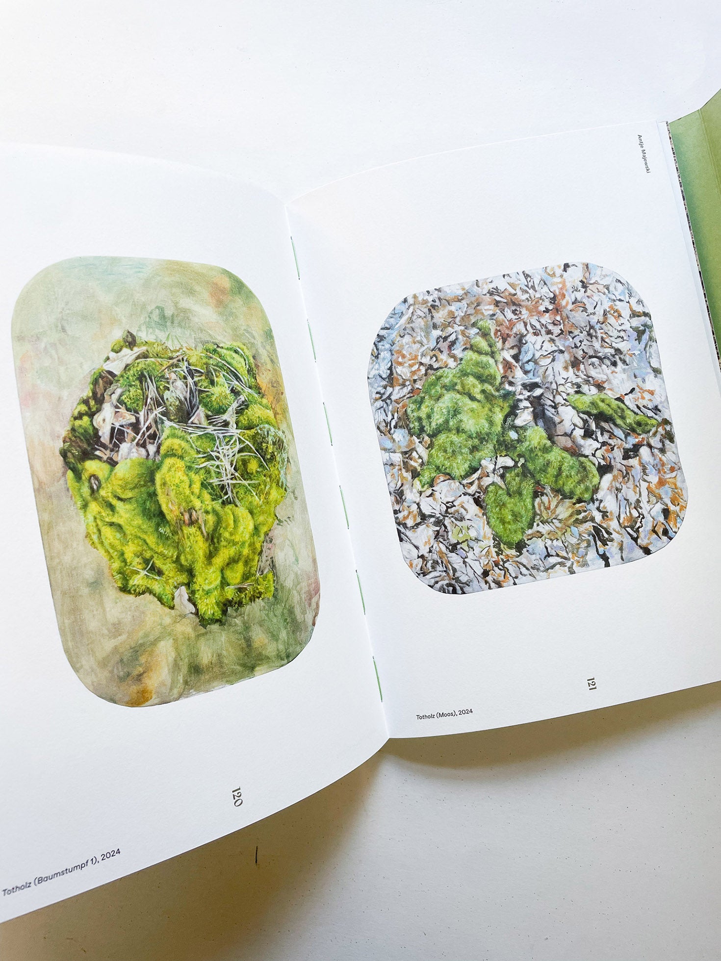 INTO THE WOODS / Sophie Haslinger