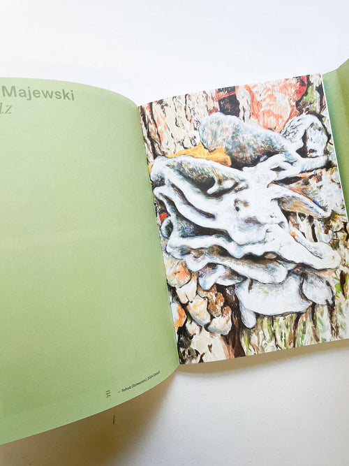 INTO THE WOODS / Sophie Haslinger