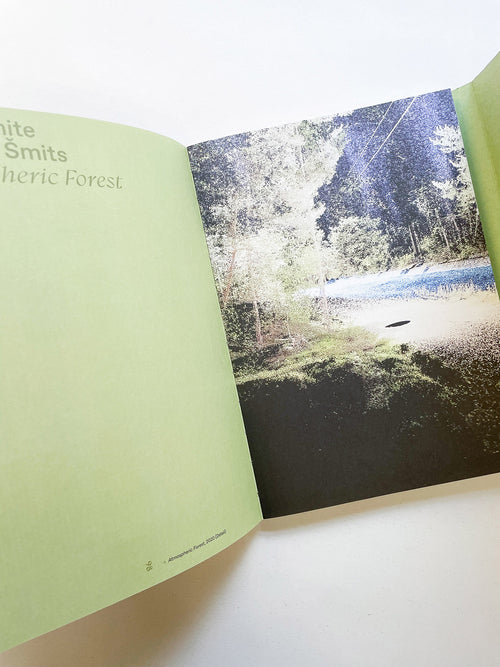 INTO THE WOODS / Sophie Haslinger