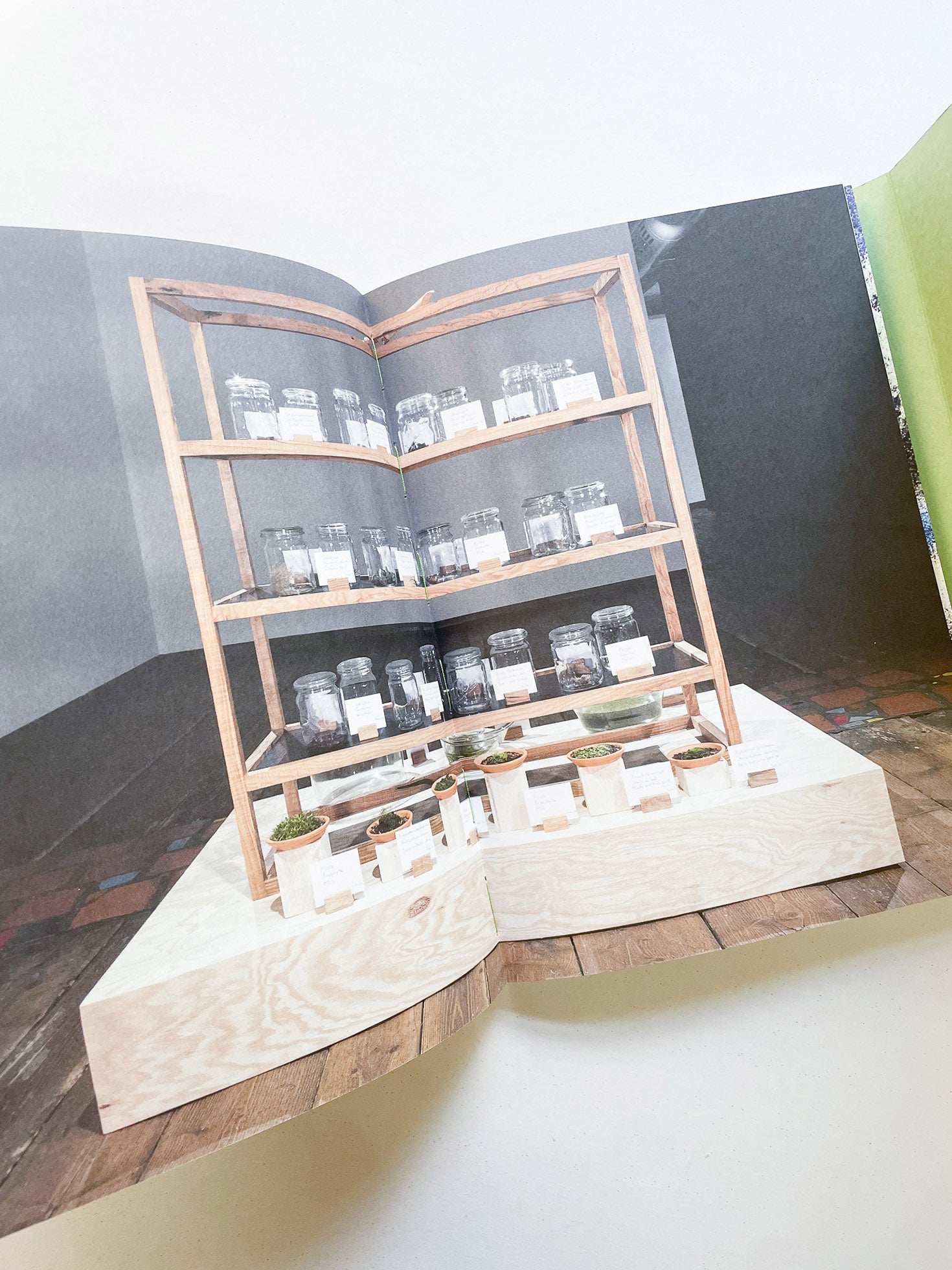 INTO THE WOODS / Sophie Haslinger