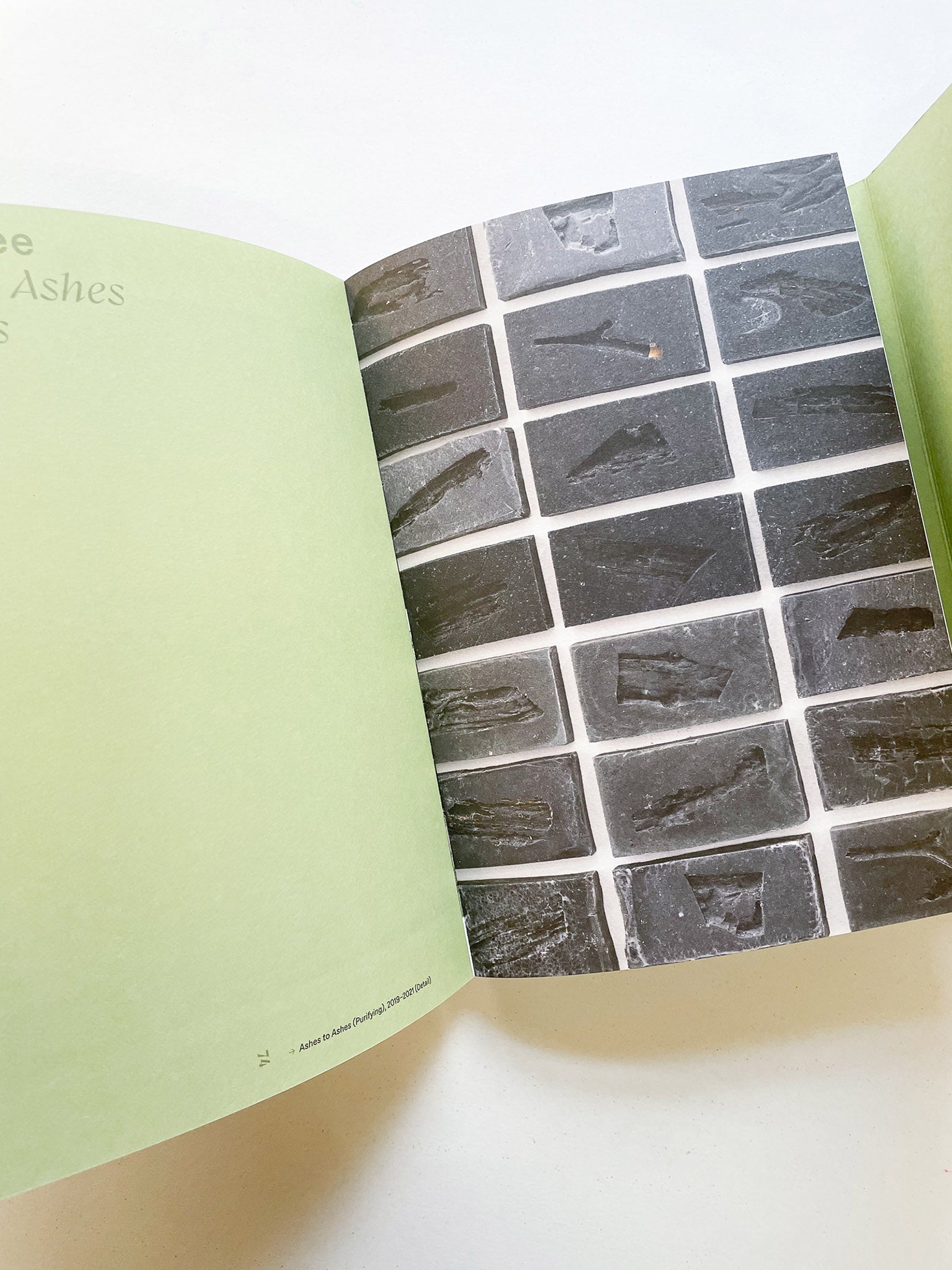 INTO THE WOODS / Sophie Haslinger