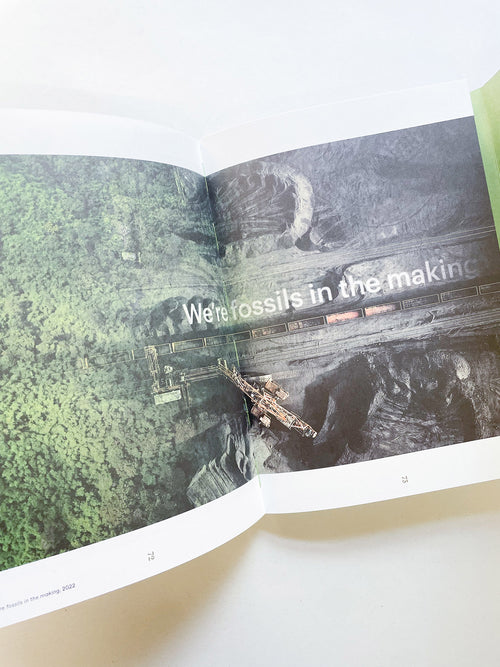 INTO THE WOODS / Sophie Haslinger