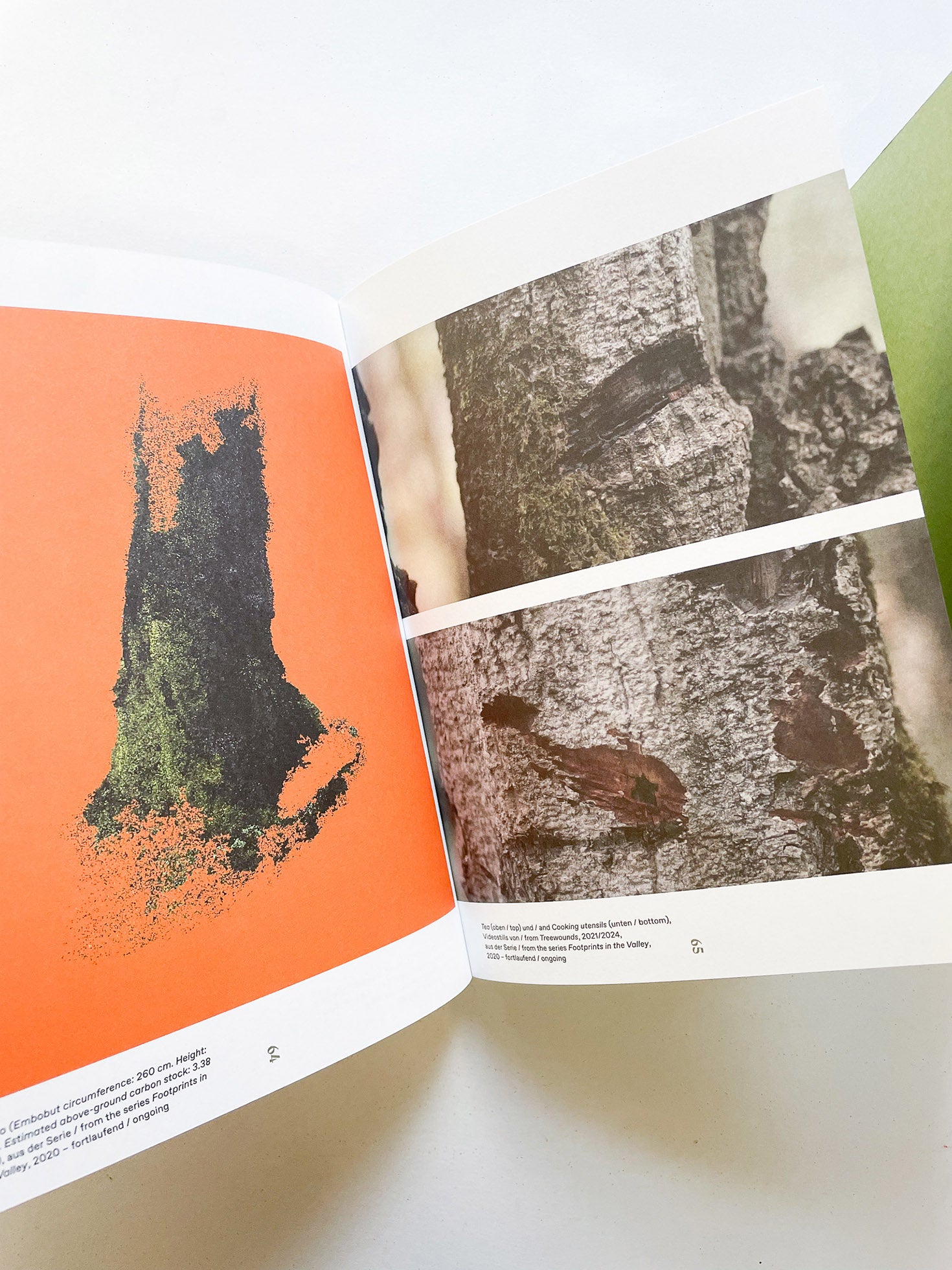 INTO THE WOODS / Sophie Haslinger