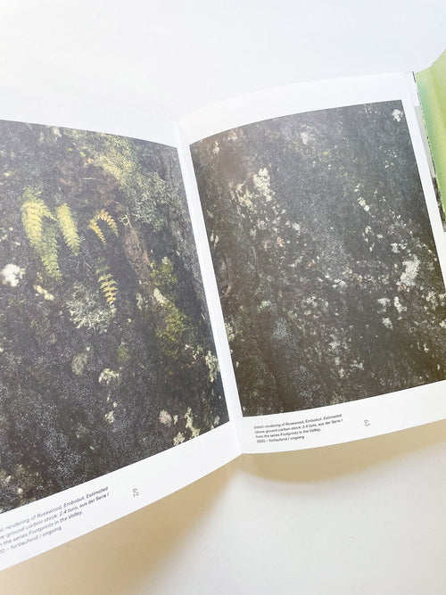 INTO THE WOODS / Sophie Haslinger