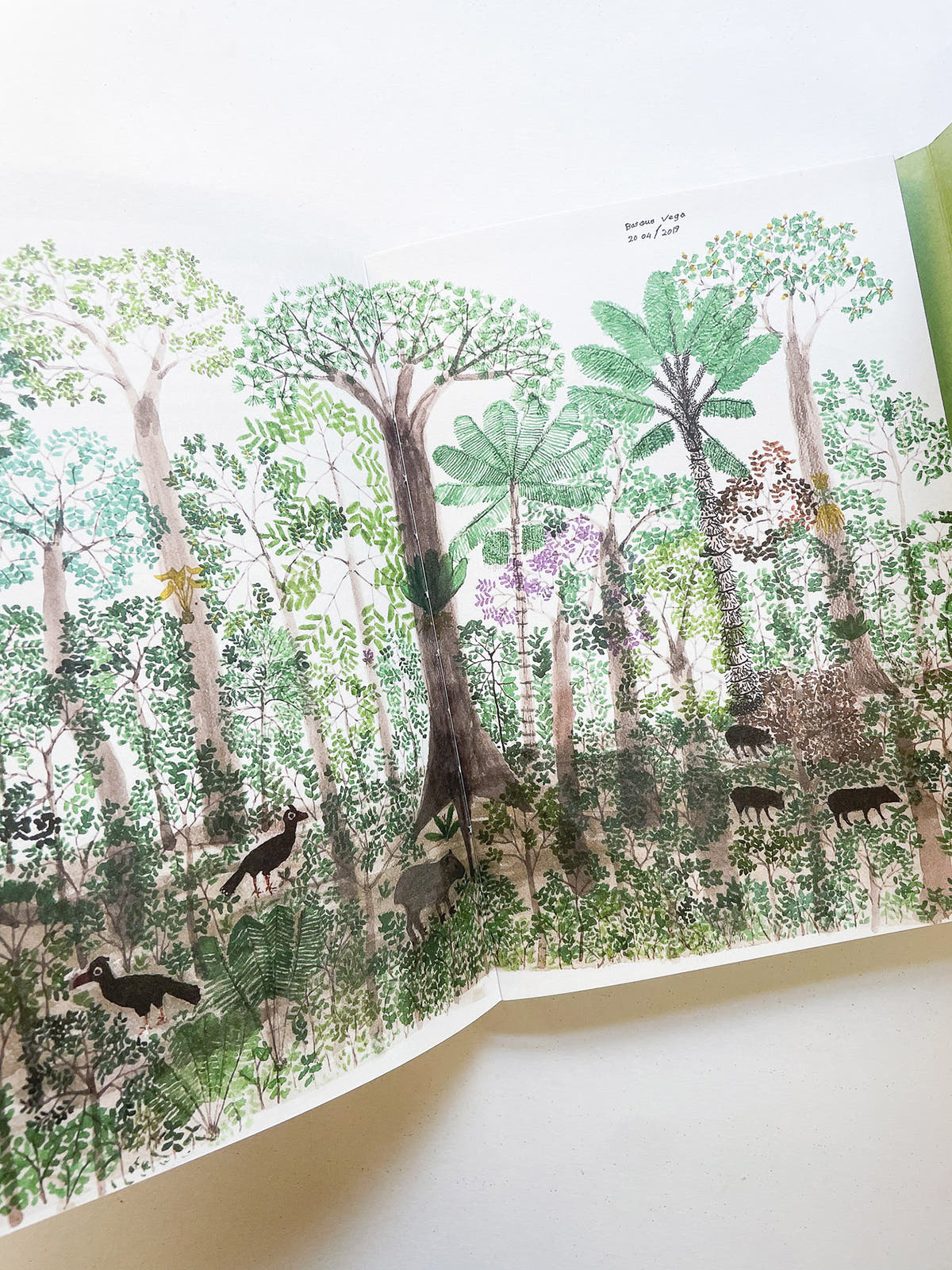 INTO THE WOODS / Sophie Haslinger