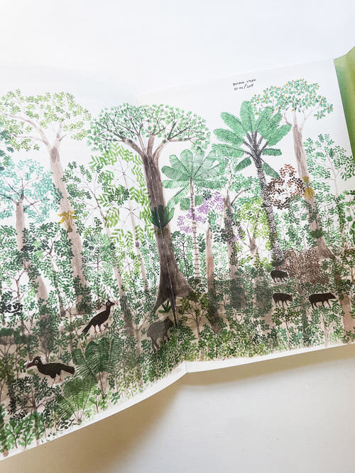 INTO THE WOODS / Sophie Haslinger