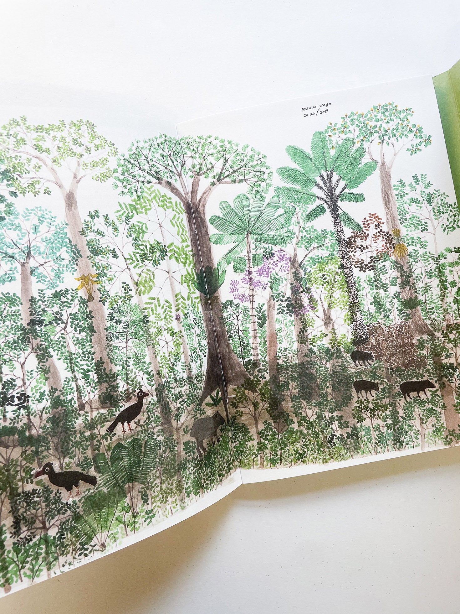 INTO THE WOODS / Sophie Haslinger