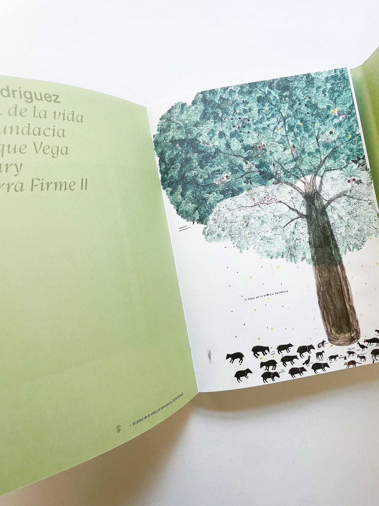 INTO THE WOODS / Sophie Haslinger