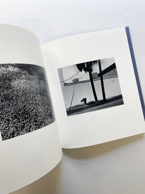 I SHALL SING THESE SONGS BEAUTIFULLY / Yorgos Lanthimos