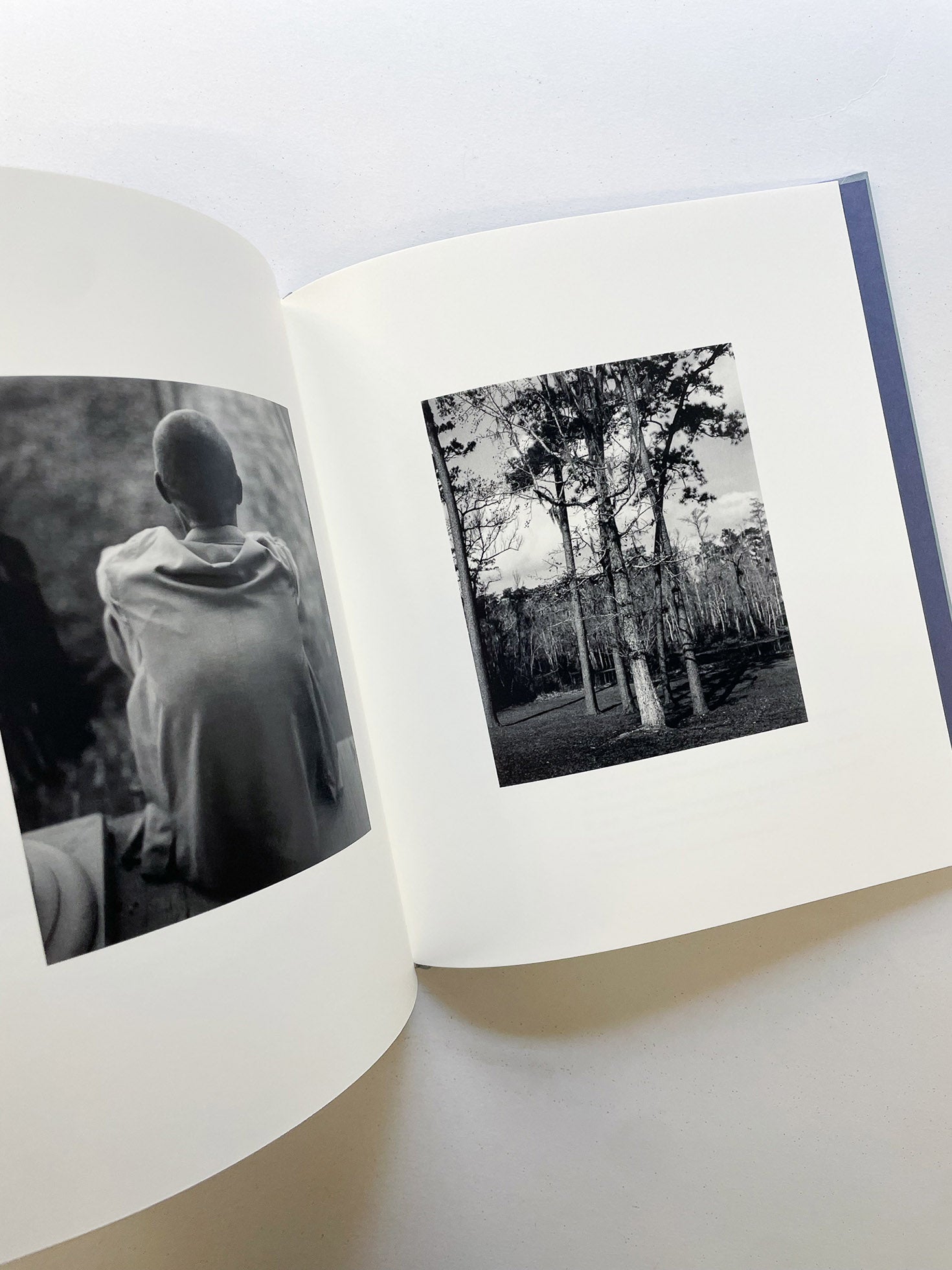 I SHALL SING THESE SONGS BEAUTIFULLY / Yorgos Lanthimos