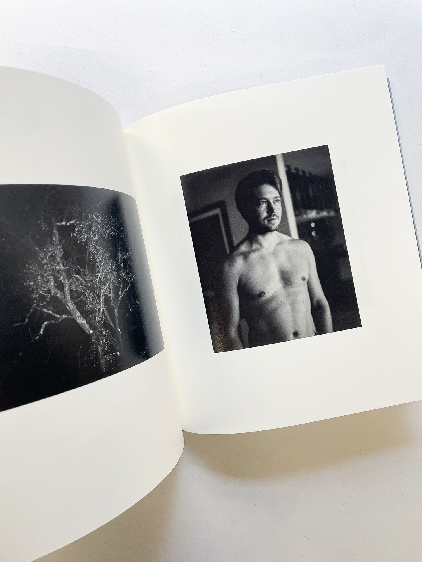 I SHALL SING THESE SONGS BEAUTIFULLY / Yorgos Lanthimos