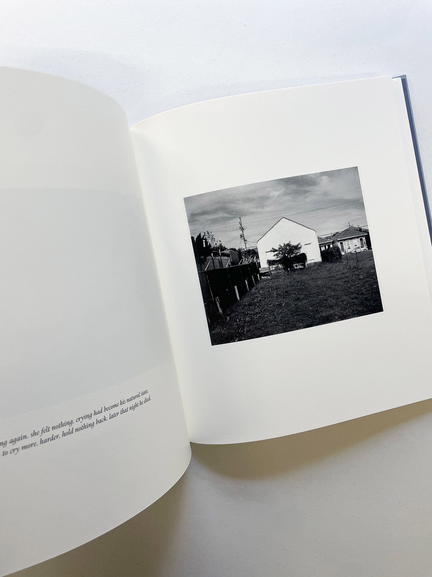 I SHALL SING THESE SONGS BEAUTIFULLY / Yorgos Lanthimos