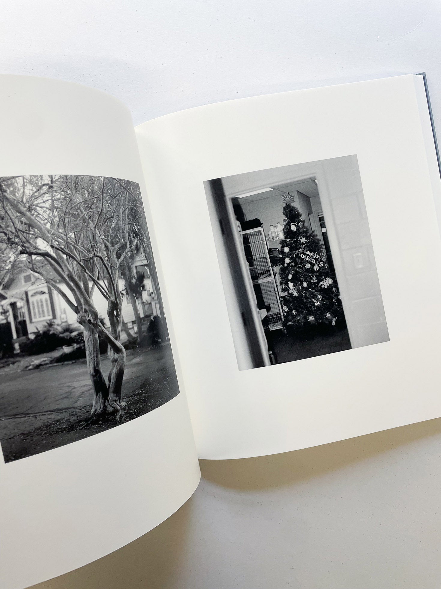 I SHALL SING THESE SONGS BEAUTIFULLY / Yorgos Lanthimos