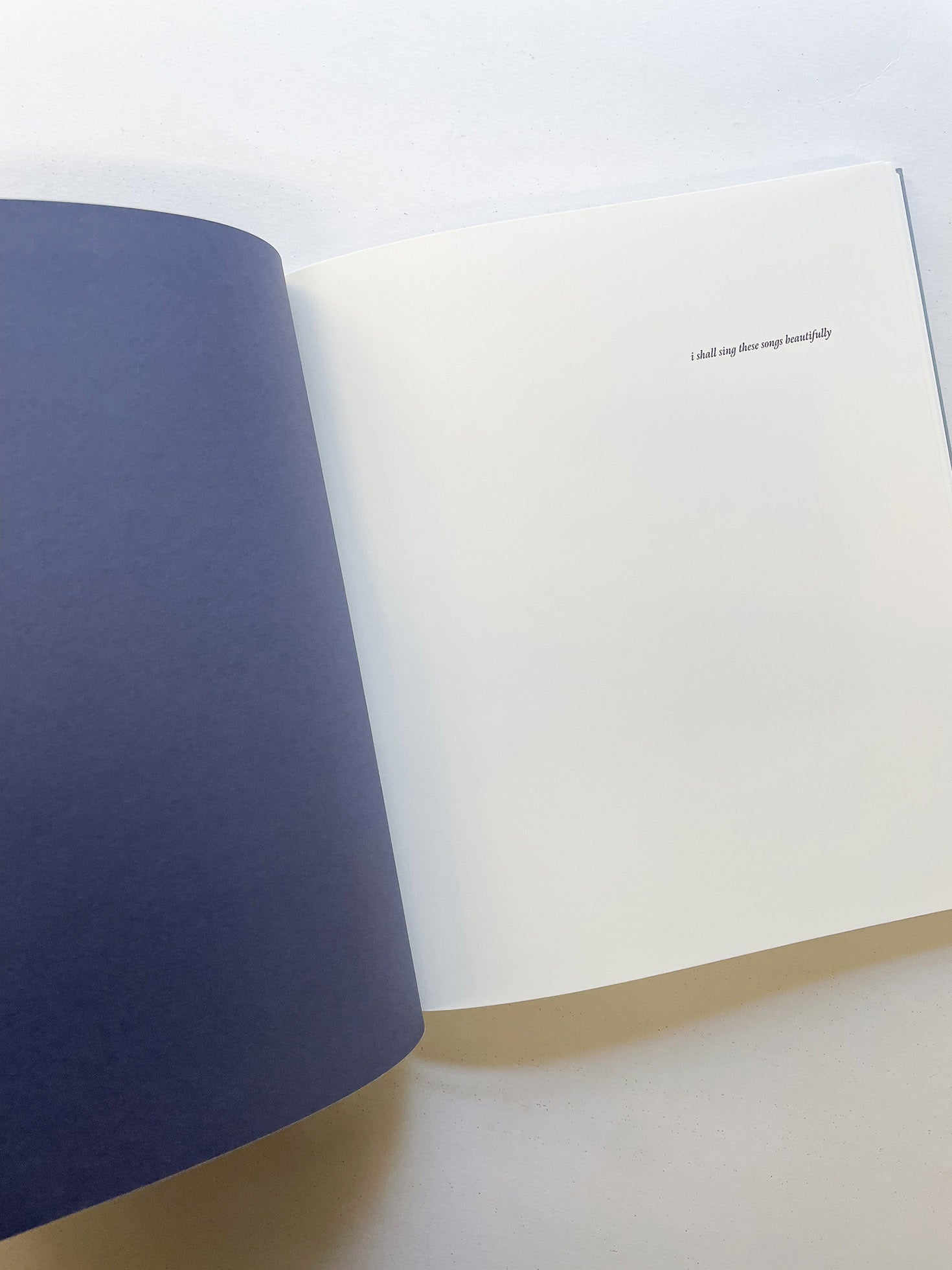 I SHALL SING THESE SONGS BEAUTIFULLY / Yorgos Lanthimos