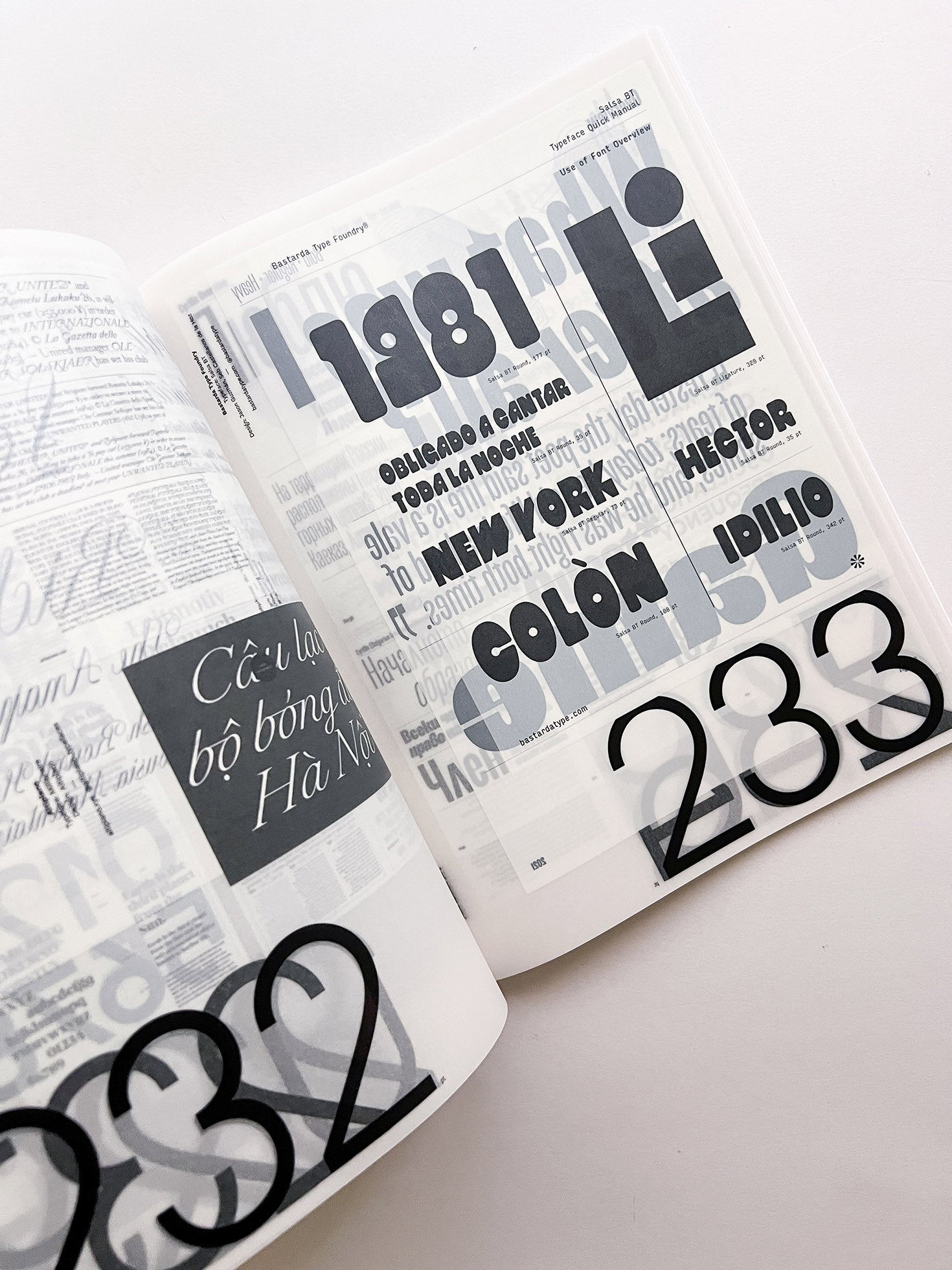 SUPPORT INDEPENDENT TYPE II