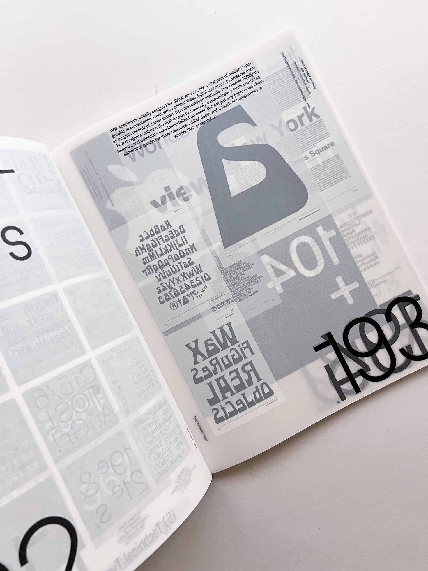 SUPPORT INDEPENDENT TYPE II