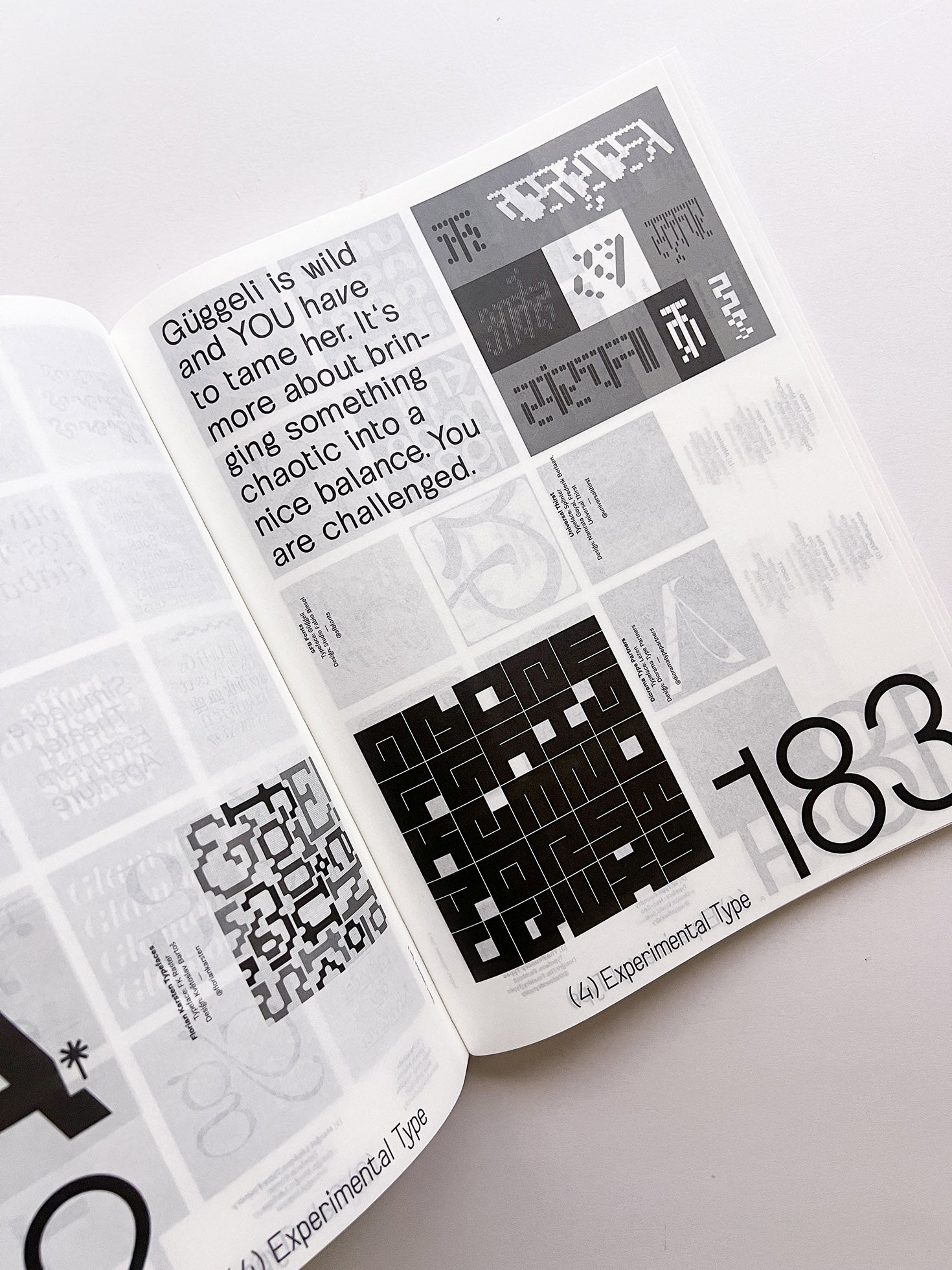 SUPPORT INDEPENDENT TYPE II