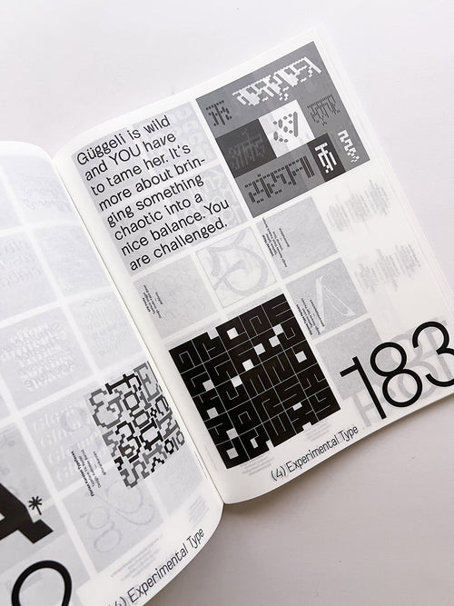 SUPPORT INDEPENDENT TYPE II