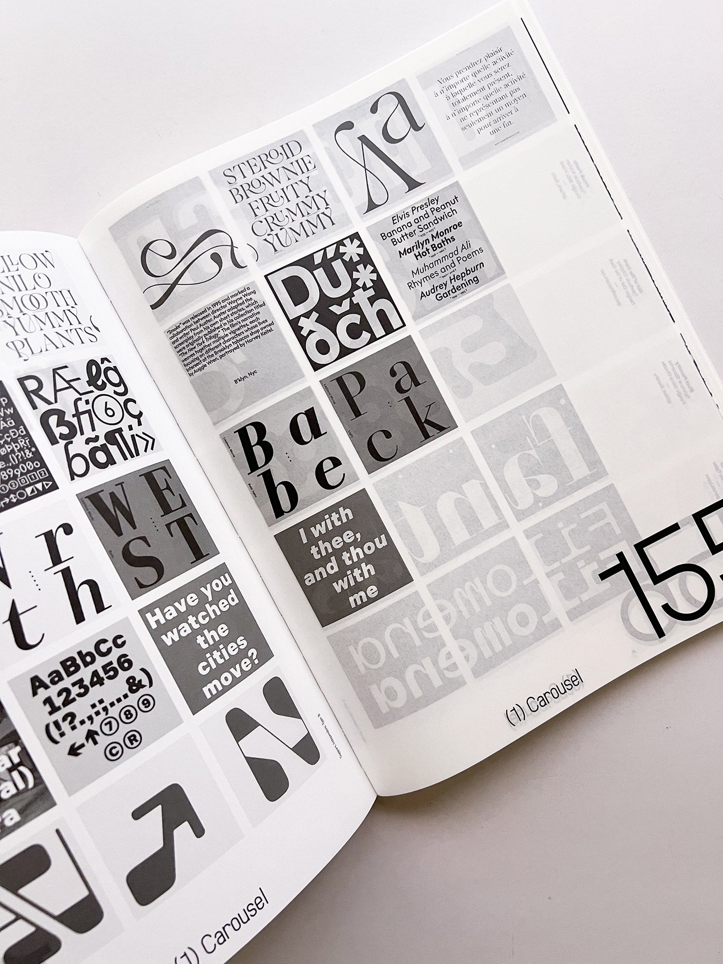 SUPPORT INDEPENDENT TYPE II