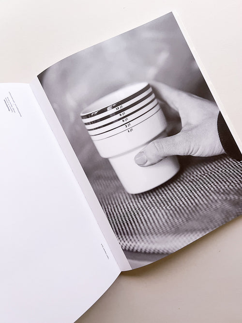 SUPPORT INDEPENDENT TYPE II