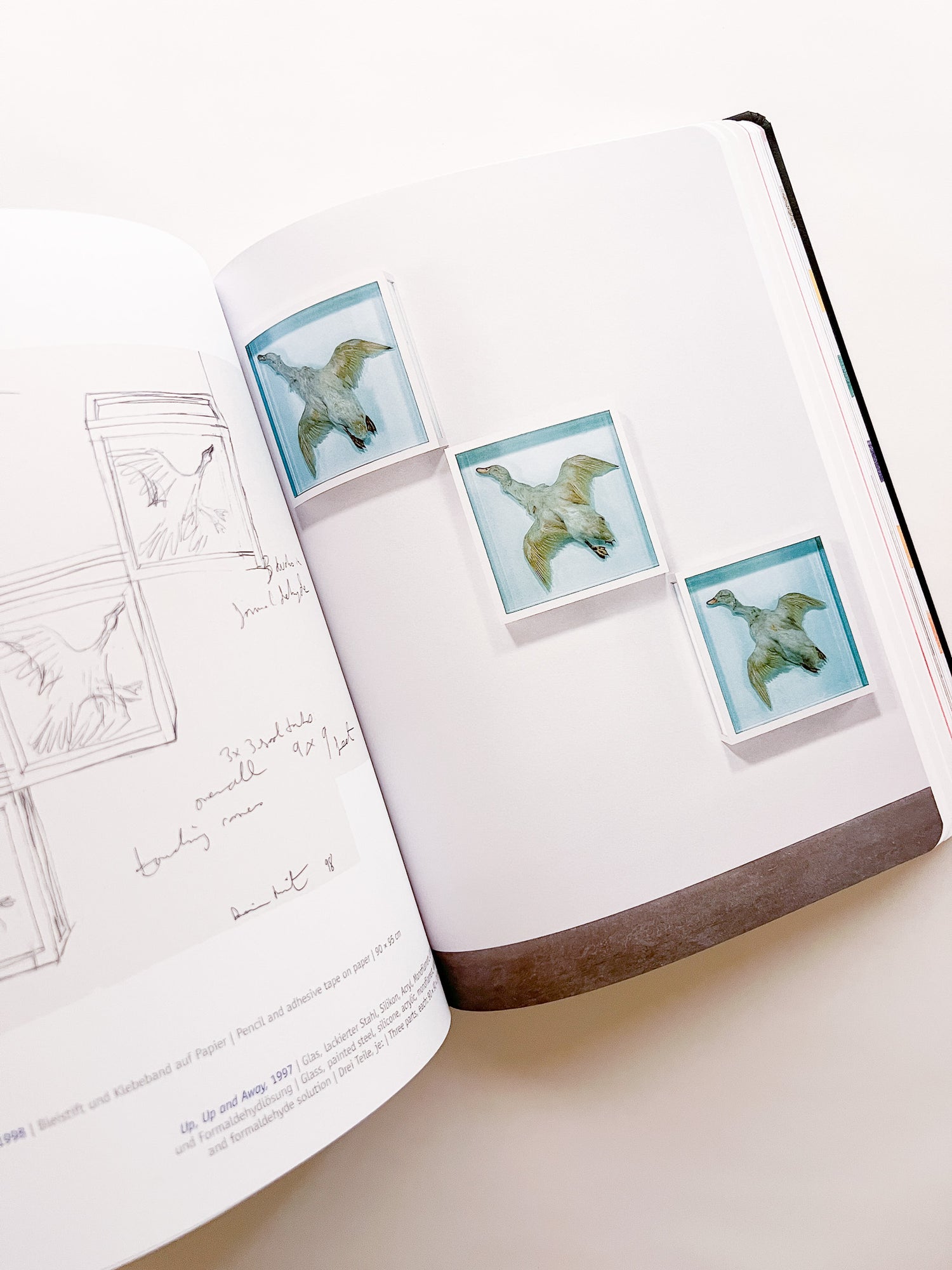 DAMIEN HIRST - DRAWINGS / Damien Hirst