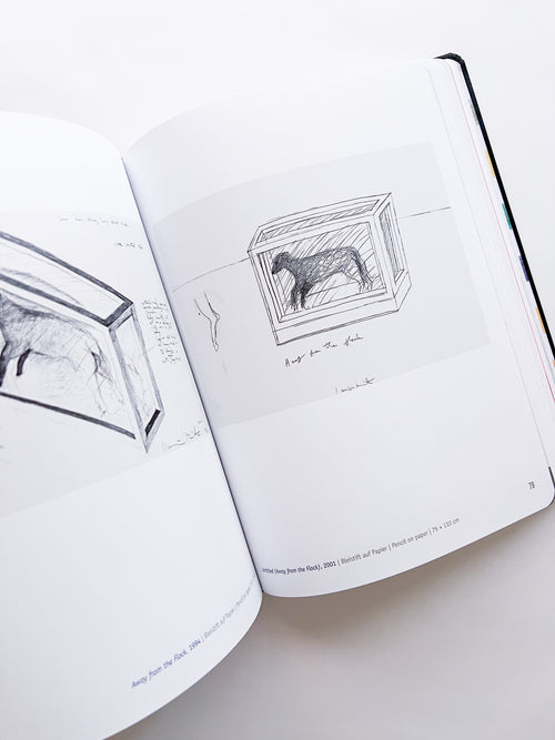 DAMIEN HIRST - DRAWINGS / Damien Hirst