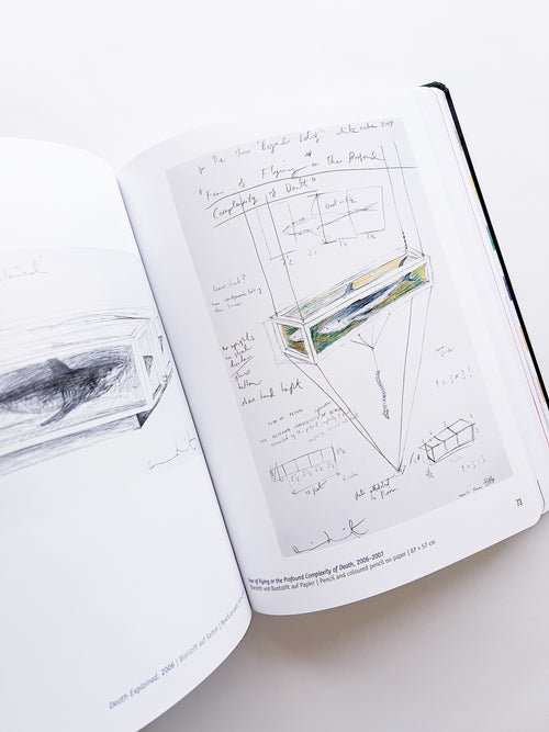 DAMIEN HIRST - DRAWINGS / Damien Hirst
