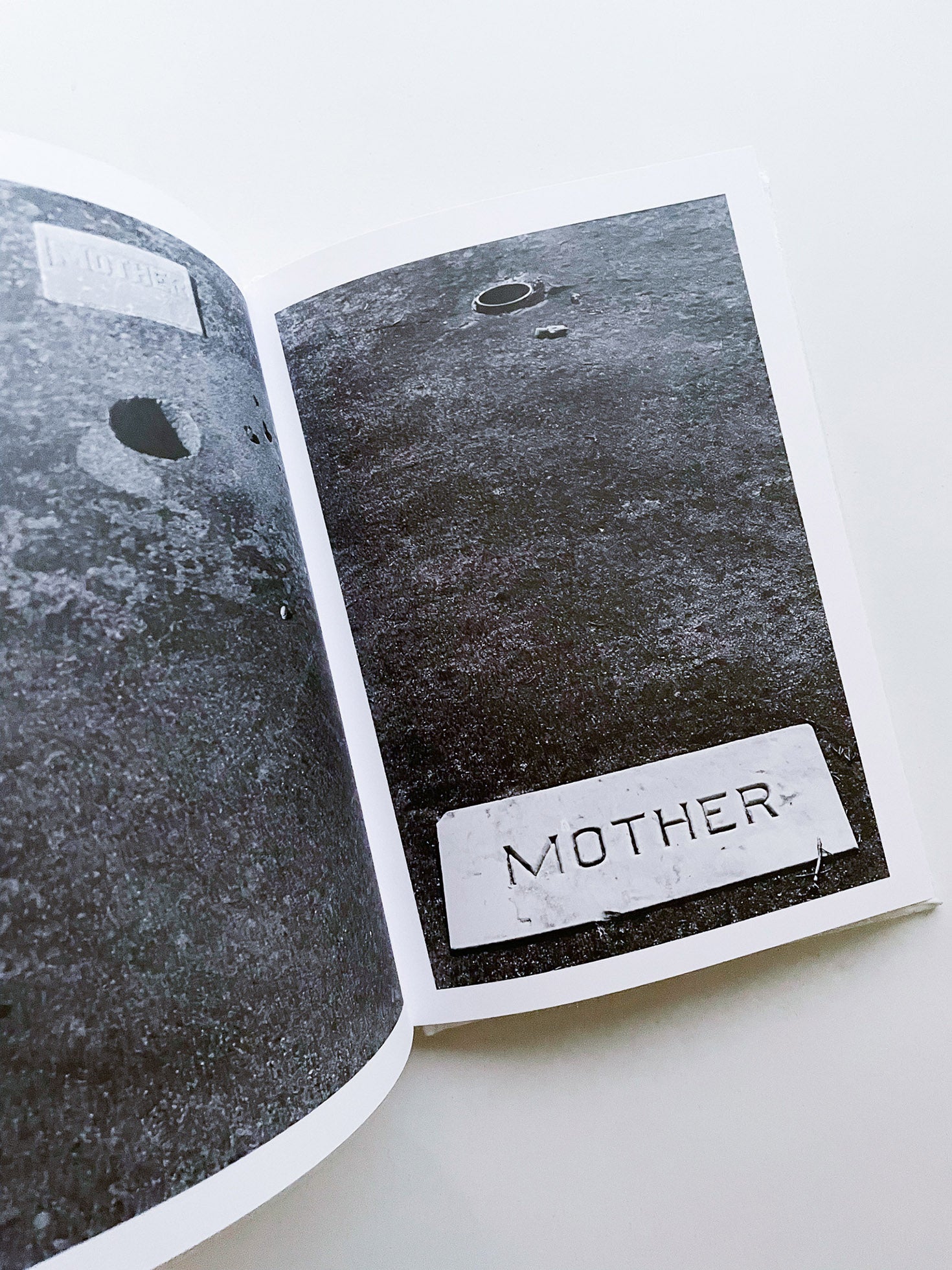 Rachel, Monique... / Sophie Calle