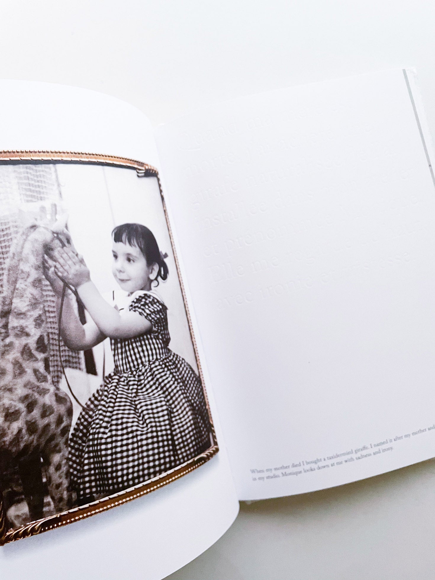 Rachel, Monique... / Sophie Calle