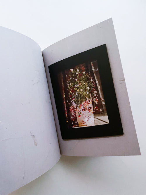 Rachel, Monique... / Sophie Calle