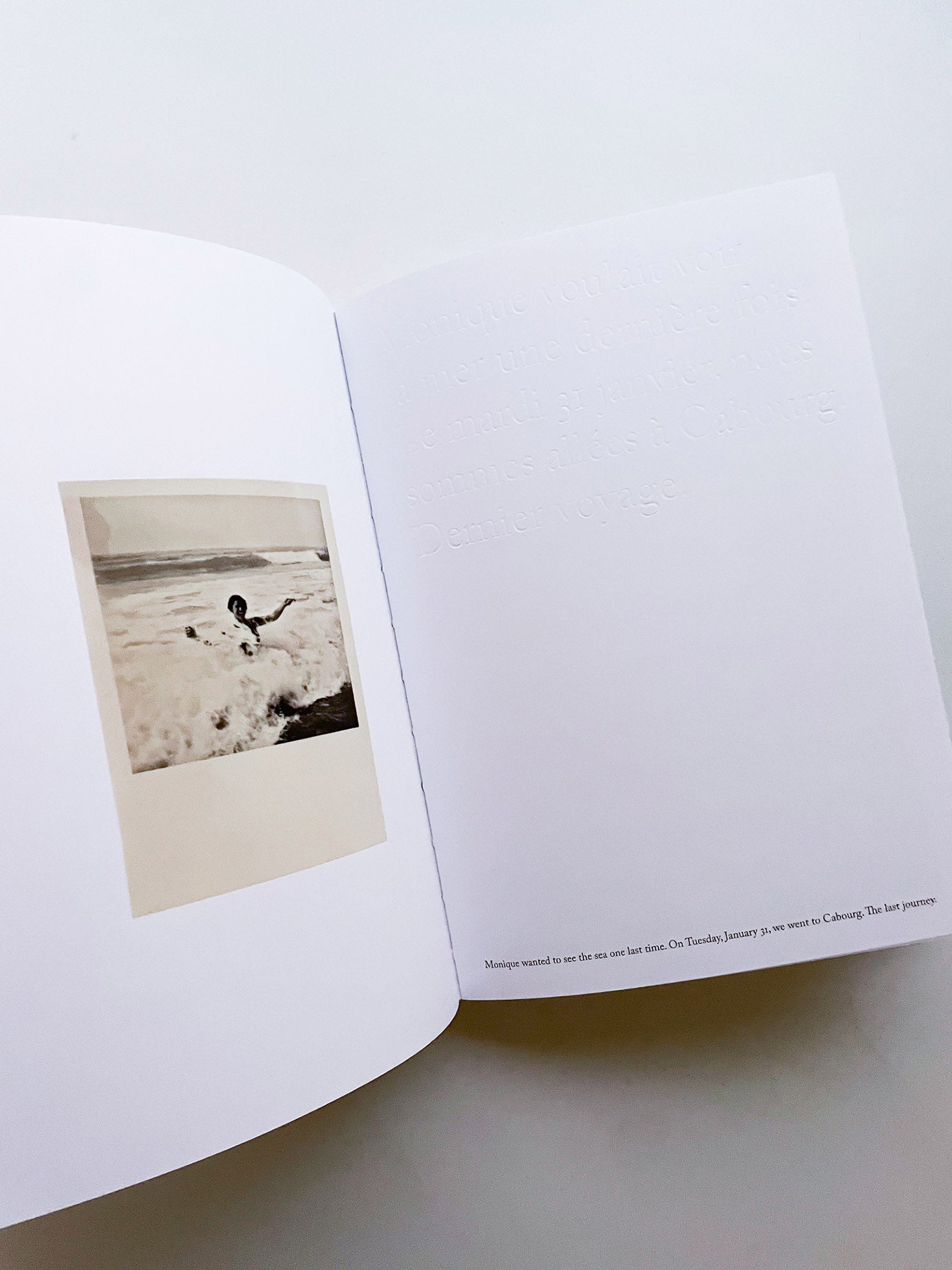 Rachel, Monique... / Sophie Calle