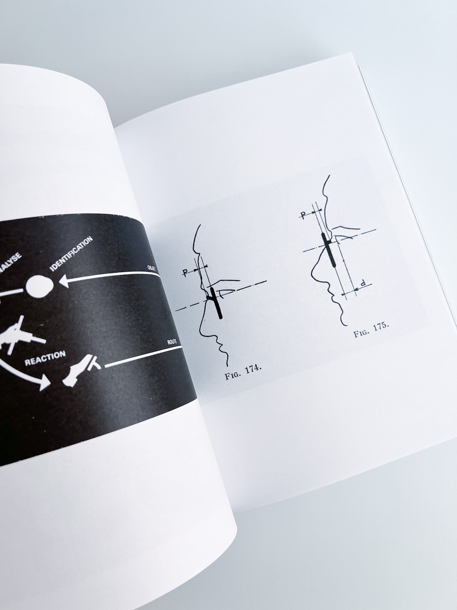 3000 Days of Archives Related to the Optics and Glasses Frame Industry