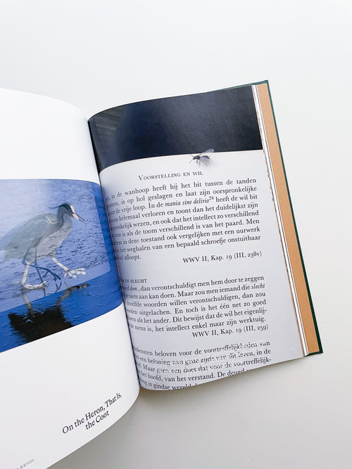 Bestiary / Anne Geene, Arjan de Nooy