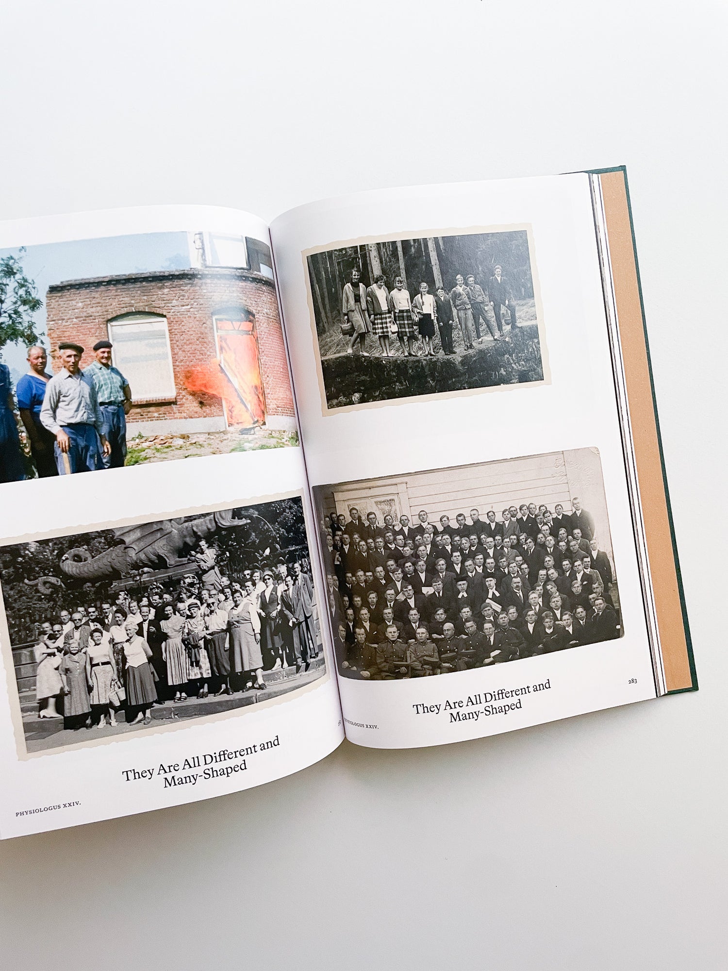 Bestiary / Anne Geene, Arjan de Nooy