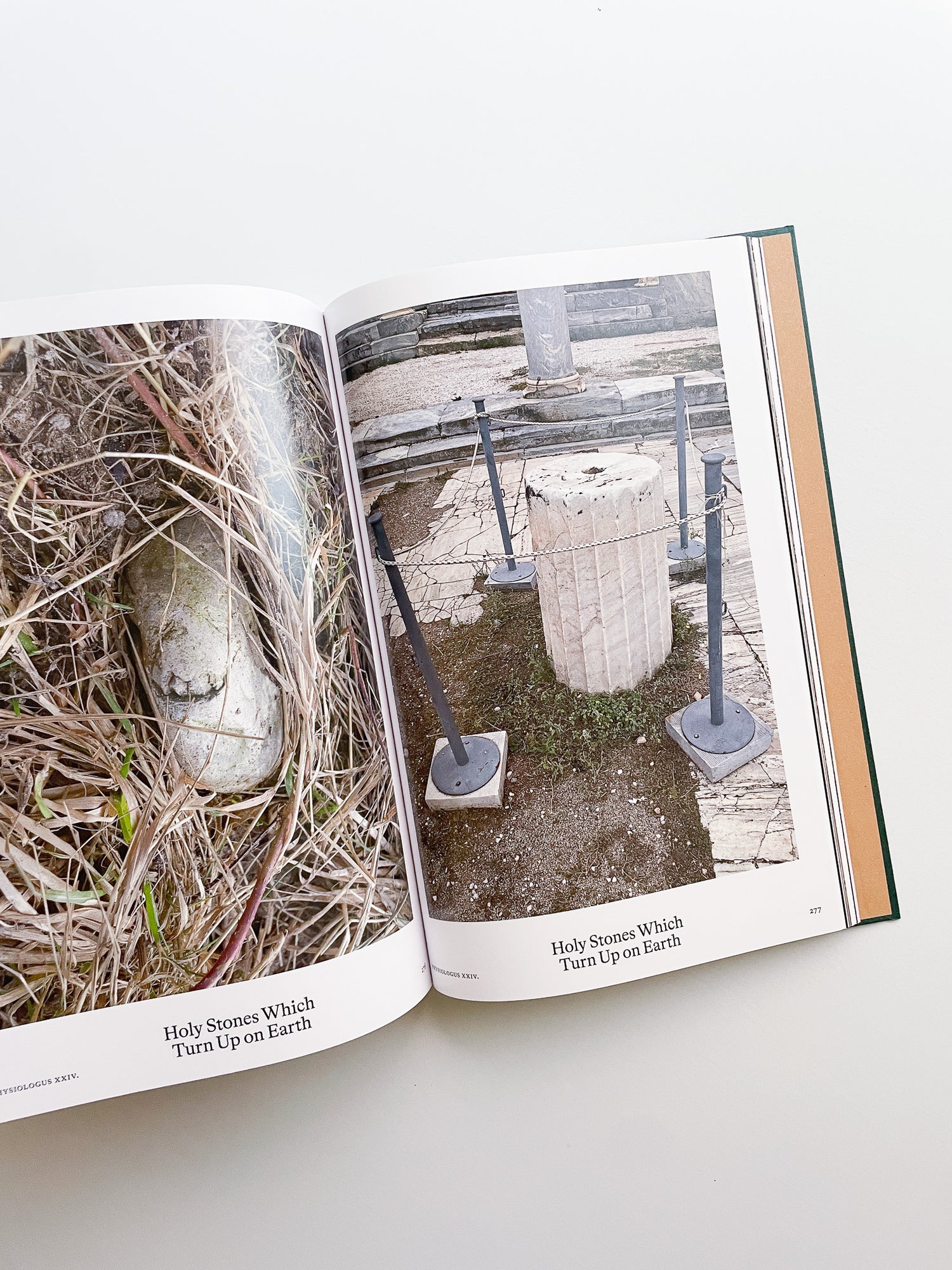 Bestiary / Anne Geene, Arjan de Nooy