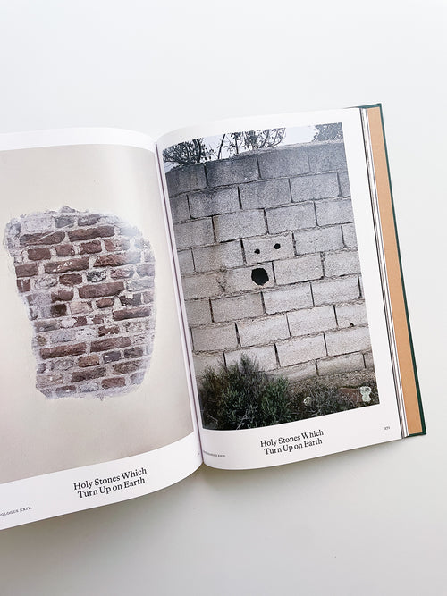 Bestiary / Anne Geene, Arjan de Nooy