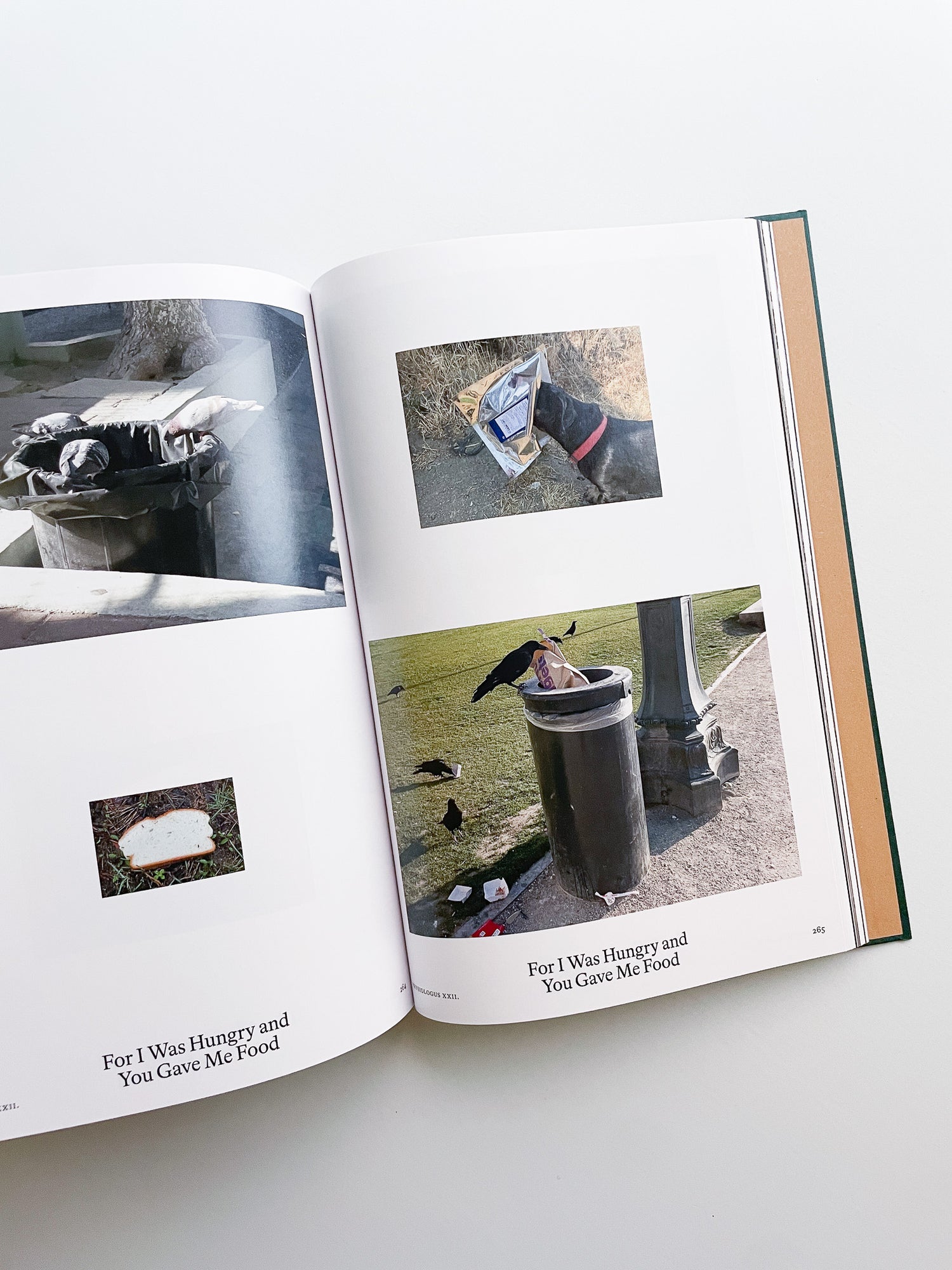 Bestiary / Anne Geene, Arjan de Nooy