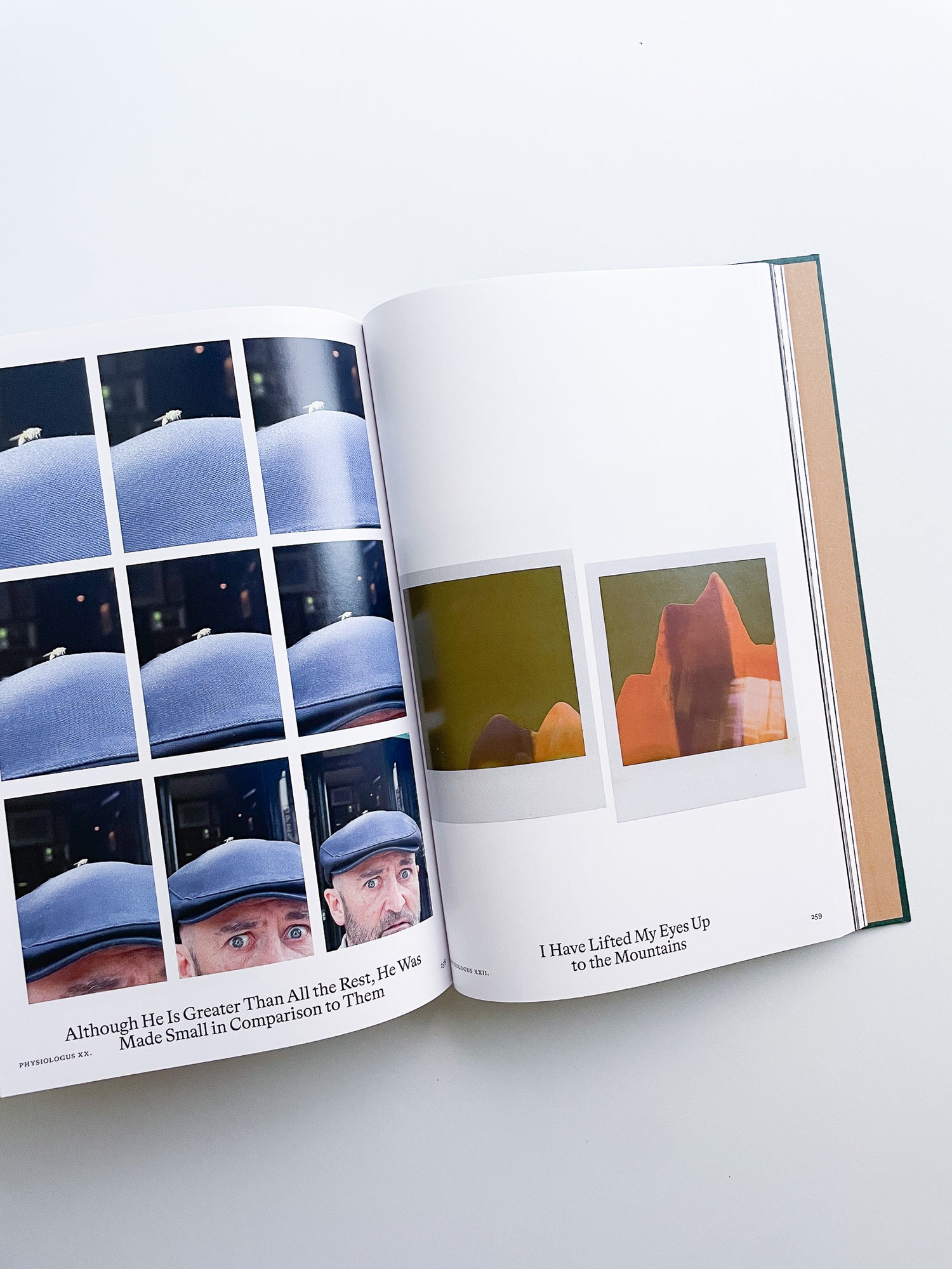 Bestiary / Anne Geene, Arjan de Nooy