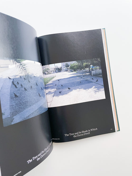 Bestiary / Anne Geene, Arjan de Nooy