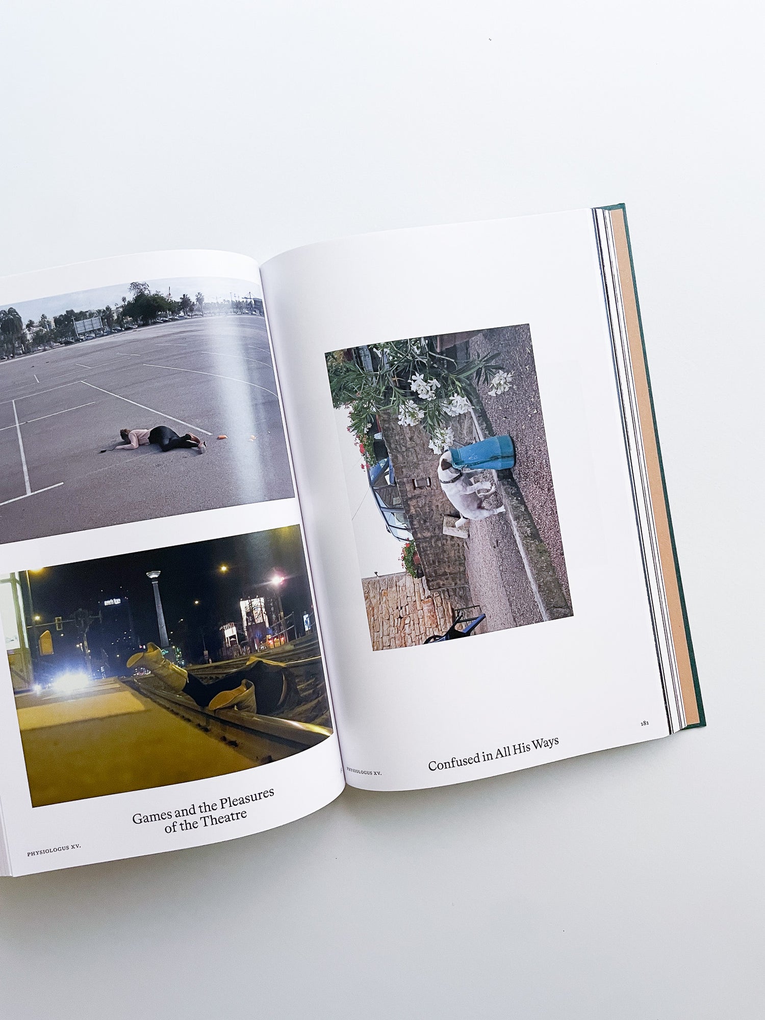 Bestiary / Anne Geene, Arjan de Nooy