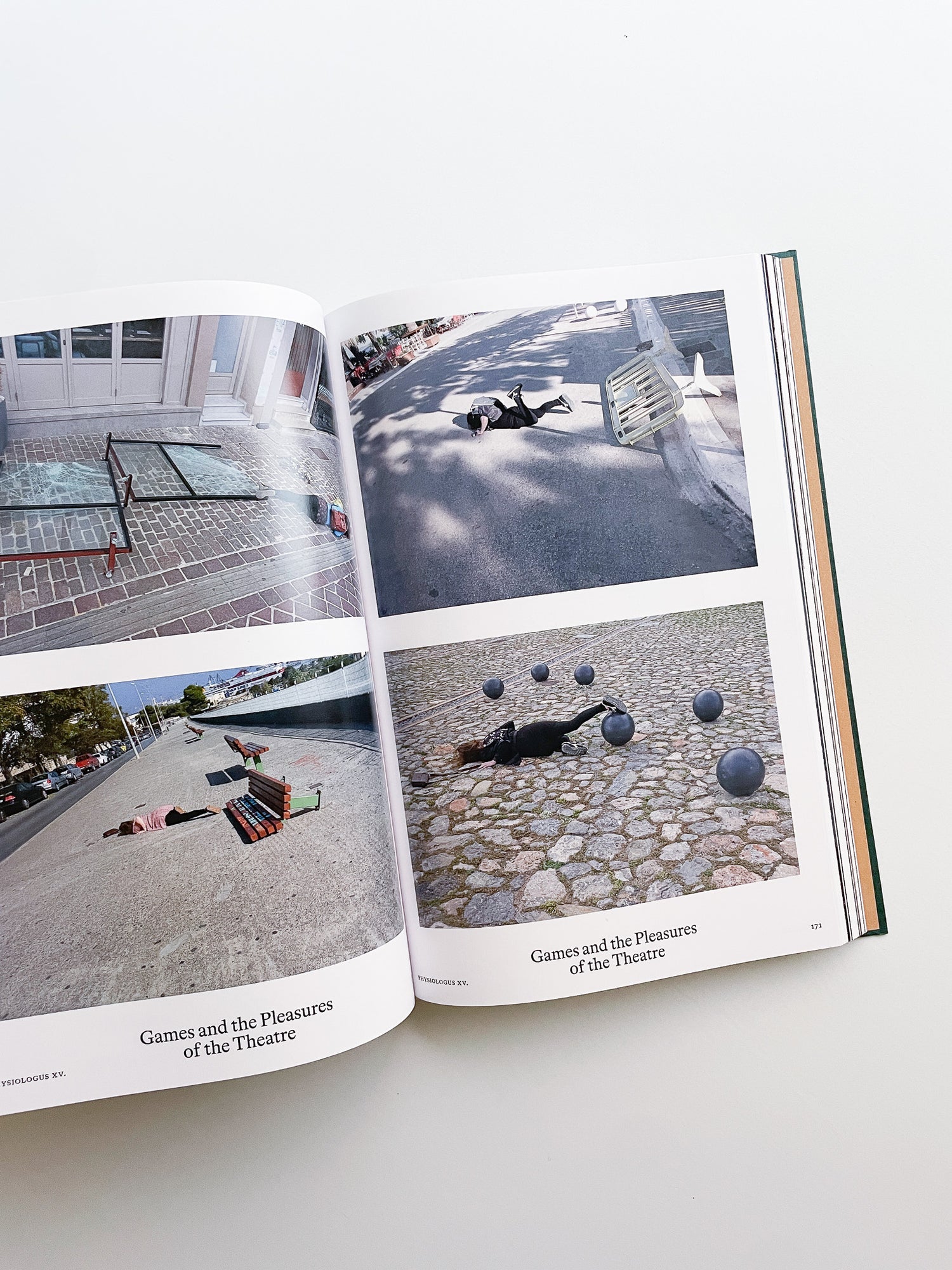 Bestiary / Anne Geene, Arjan de Nooy
