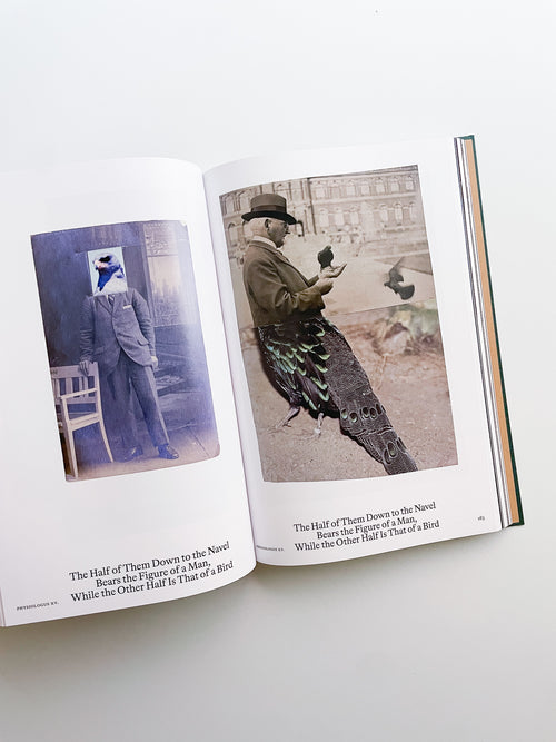 Bestiary / Anne Geene, Arjan de Nooy
